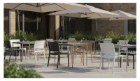 Silla de polipropileno en varios colores