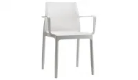 Silla de interior con brazos