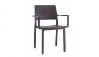 Silla de tecnopolimero de colores